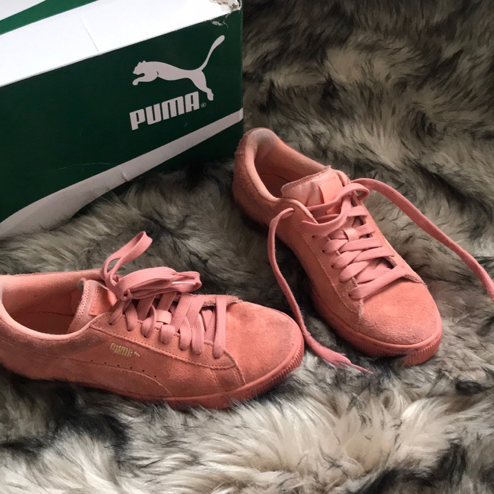 Pumas in the color : desert flower